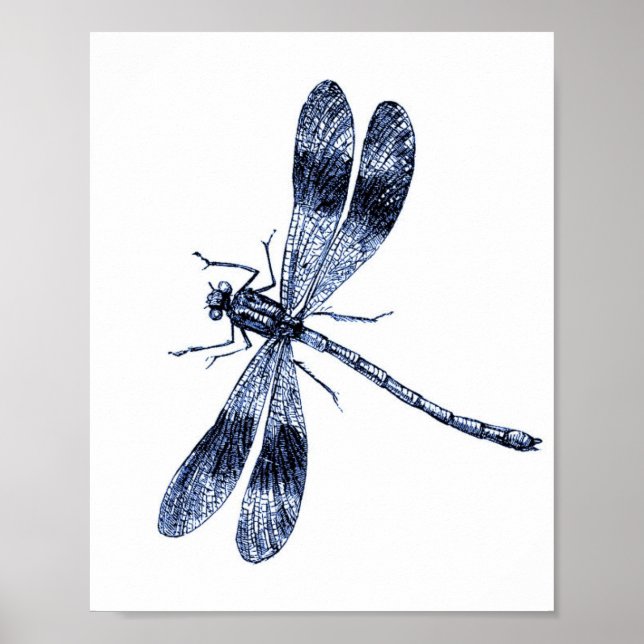 Vintage Dragonfly - blå Poster (Framsidan)