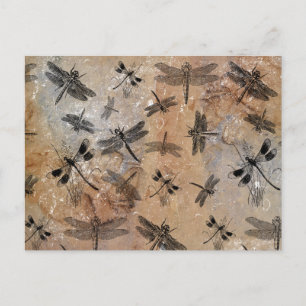 Vintage Dragonfly Distress Entomology Mönster Helg Vykort