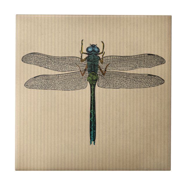 Vintage Dragonfly Illustration Kakelplatta (Framsidan)