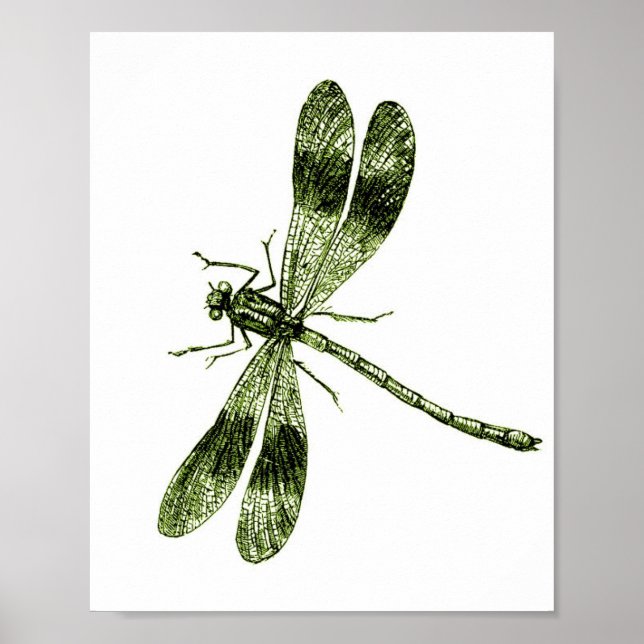 Vintage Dragonfly - Ljust grönt Poster (Framsidan)