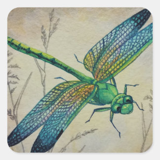 Vintage Dragonfly No. 3 och Grass Watercolor Art Fyrkantigt Klistermärke