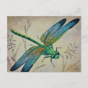 Vintage Dragonfly No. 3 och Grass Watercolor Art Vykort