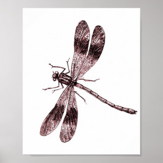 Vintage Dragonfly - Röd Poster