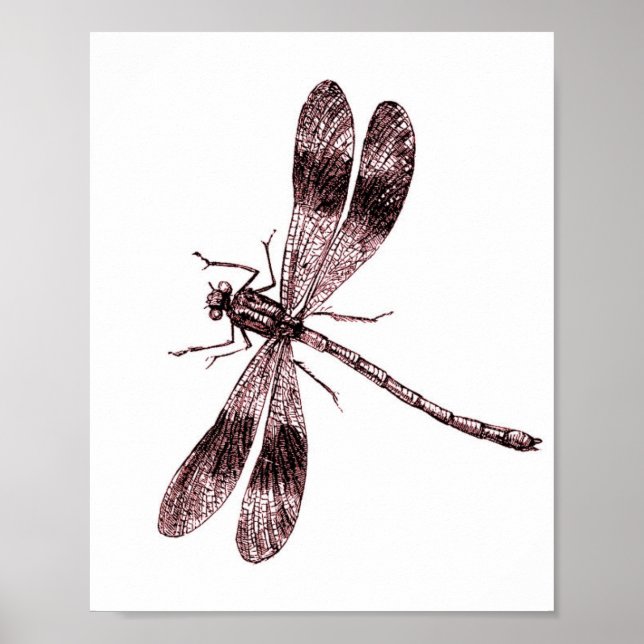 Vintage Dragonfly - Röd Poster (Framsidan)