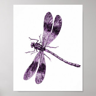 Vintage Dragonfly - Rosa Poster