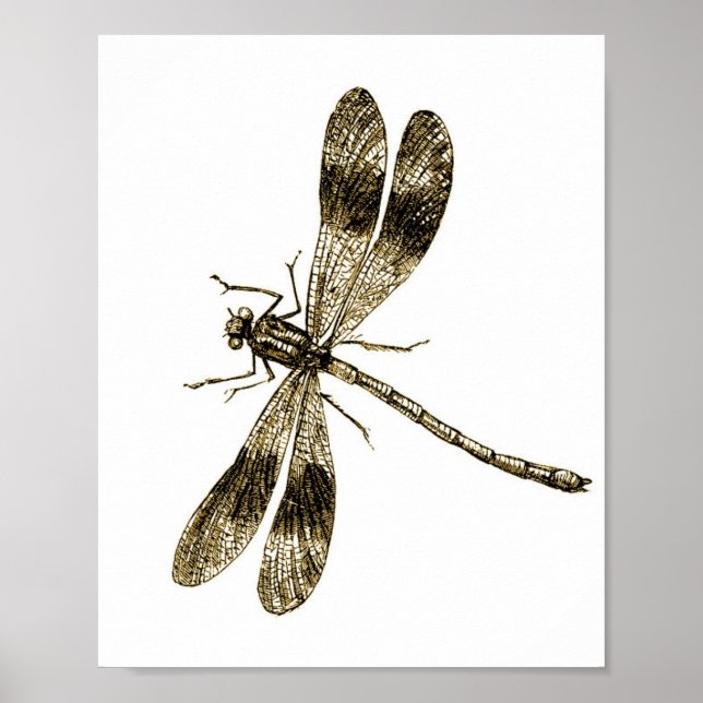 Vintage Dragonfly - Sepia Poster (Framsidan)