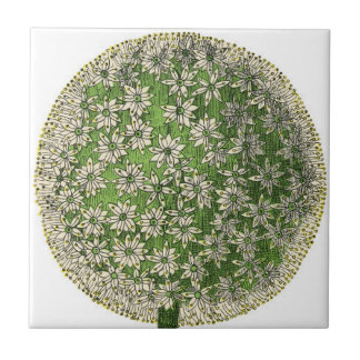 Vintage Dreams - Dandelion Kakelplatta