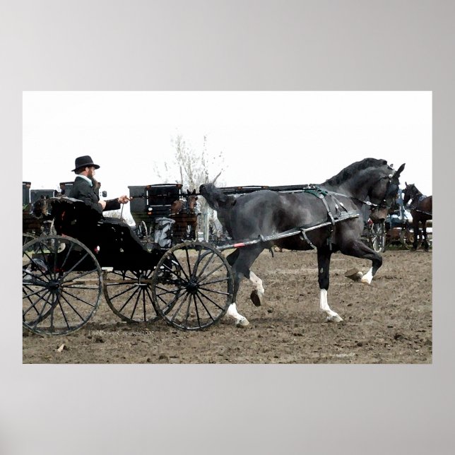 Vintage Driving Horse Poster (Framsidan)