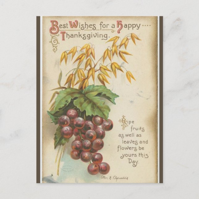 Vintage Druvor och Blad Thanksgiving Vykort (Framsida)