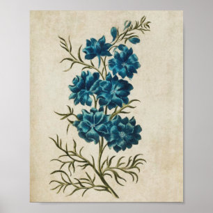 Vintage Dubbla för botaniska Blommigtar Skriv ut Poster