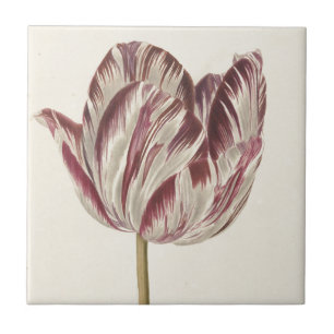 Vintage Dutch Art: White and Red Tulip Kakelplatta