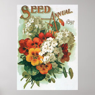 Vintage Eastmans kärnar ur katalogen täcker konst, Poster