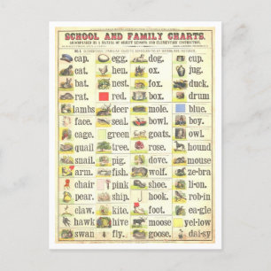 Vintage Education Chart for Sight Ord Vykort