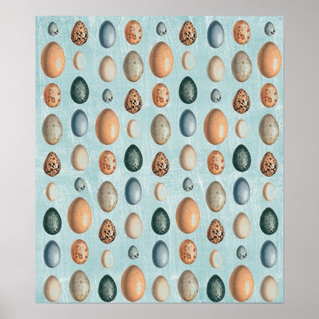 Vintage Eggs Poster (Framsidan)