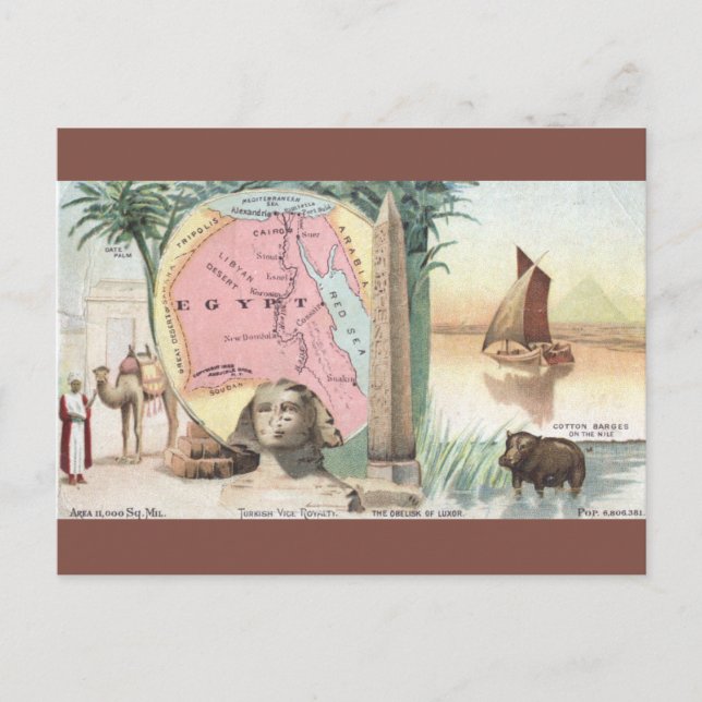 Vintage Egypt Map Vykort (Framsida)
