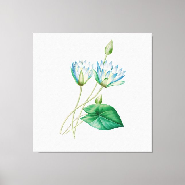 Vintage Egyptian Lotus Flower Canvastryck (Framsida)