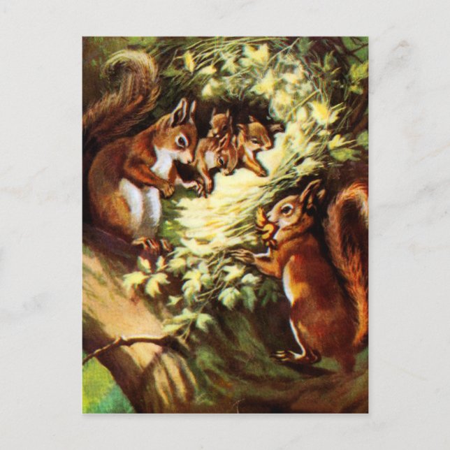 Vintage-ekorrar Vykort (Framsida)