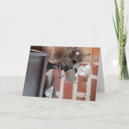 Vintage Elegance: Classic Fläkt och Pottery Kort