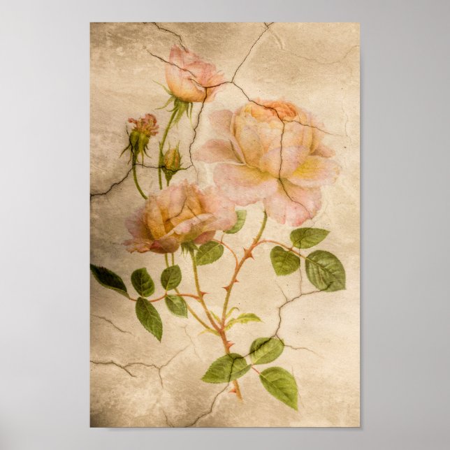 Vintage Elegant Shabby chic Blek Rosa ros Poster (Framsidan)
