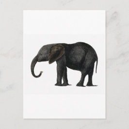 VINTAGE ELEPHANT POSTCARD VYKORT