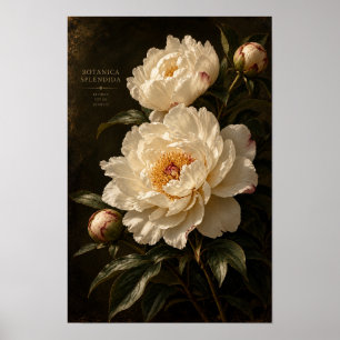 Vintage Elfenbensvitt Krysantemum Mörkt Blommotiv Poster
