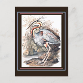 Vintage Elizabeth Gwillim Lila Heron Vykort