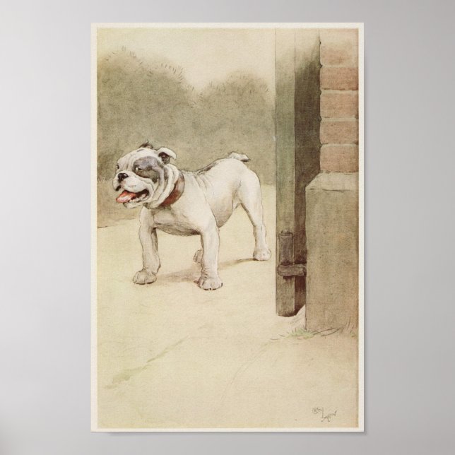 Vintage English Bulldog Illustration Poster (Framsidan)