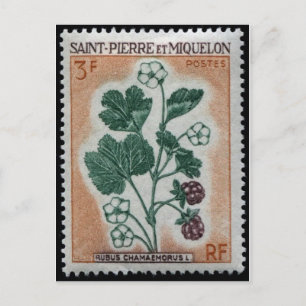 Vintage Engraved Frimärke vycard Vykort