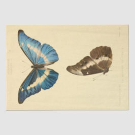 Vintage Ephemera Script Blue Butterfly Decoupage