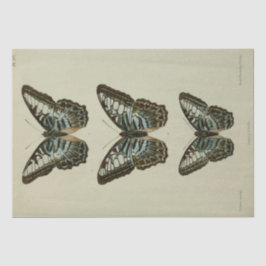 Vintage Ephemera Script Blue Butterfly Decoupage