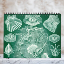 Vintage Ernst Haeckel, biologi, botanik, vetenskap