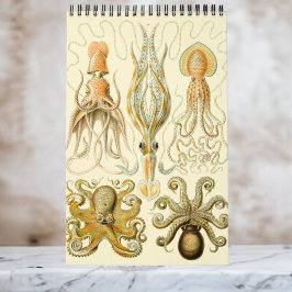 Vintage Ernst Haeckel, Biology, Botany, Science Ca Kalender