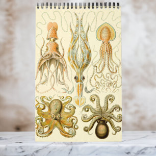 Vintage Ernst Haeckel, Biology, Botany, Science Ca Kalender