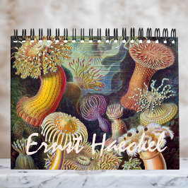 Vintage Ernst Haeckel, Biology, Botany, Science Kalender