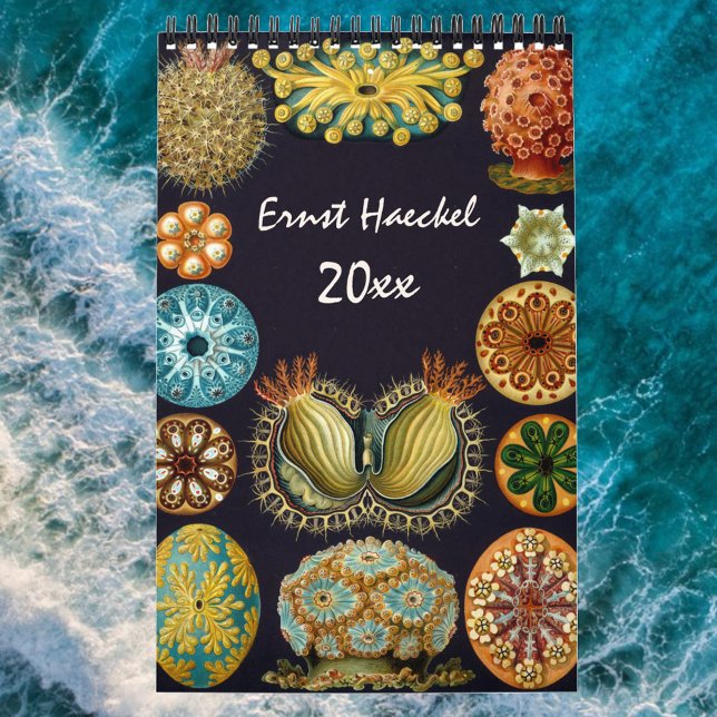 Vintage Ernst Haeckel, Biology, Botany, Science Kalender (Skapare uppladdad)