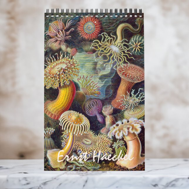Vintage Ernst Haeckel, Biology, Botany, Science Kalender (Ernst Haeckel Wall Calendar)