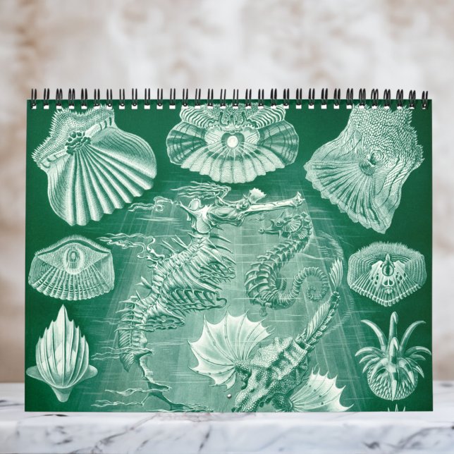 Vintage Ernst Haeckel, Biology, Botany, Science Kalender (Ernst Haeckel Wall Calendar)