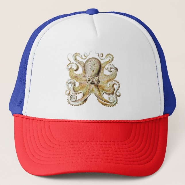 Vintage Ernst Haeckel Bläckfisk Sjöfart Sjöliv Keps (Framsida)