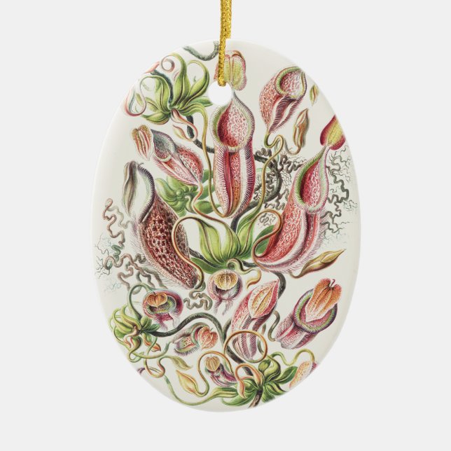 Vintage Ernst Haeckel Botanical Pitcher Plant Julgransprydnad Keramik (Framsidan)