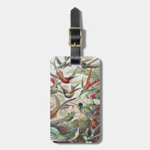 Vintage Ernst Haeckel Färgrik Kolibri Affisch Bagagebricka