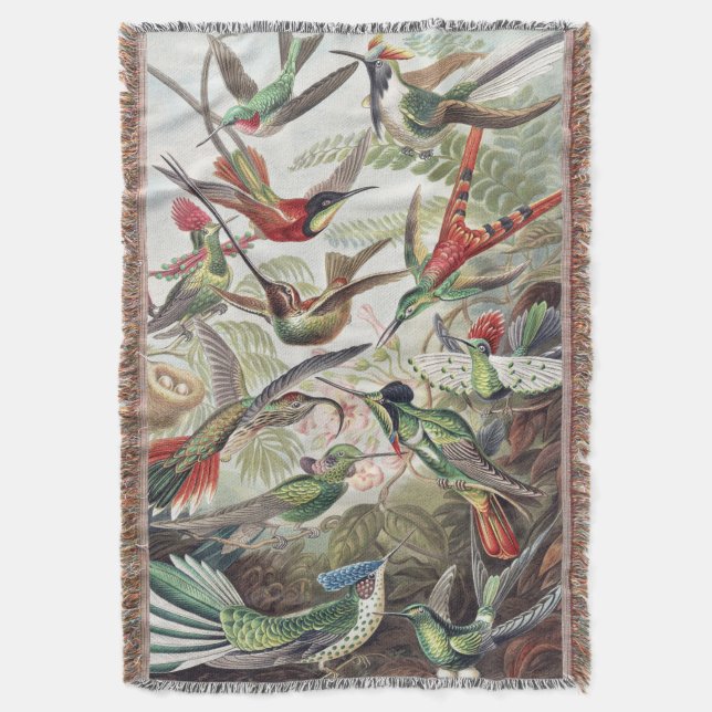 Vintage Ernst Haeckel Färgrik Kolibri Affisch Filt (Framsidan Vertikal)