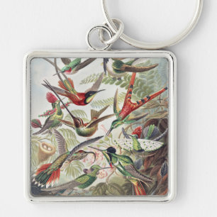 Vintage Ernst Haeckel Färgrik Kolibri Affisch Fyrkantig Silverfärgad Nyckelring