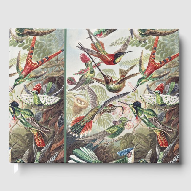 Vintage Ernst Haeckel Färgrik Kolibri Affisch Gästböcker (Framsida)