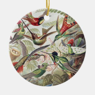 Vintage Ernst Haeckel Färgrik Kolibri Affisch Julgransprydnad Keramik