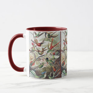 Vintage Ernst Haeckel Färgrik Kolibri Affisch Mugg