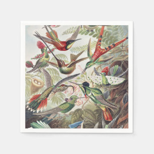 Vintage Ernst Haeckel Färgrik Kolibri Affisch Pappersservett