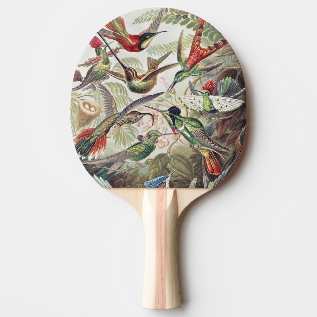 Vintage Ernst Haeckel Färgrik Kolibri Affisch Pingisracket (Framsidan)