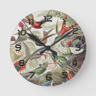 Vintage Ernst Haeckel Färgrik Kolibri Affisch Rund Klocka
