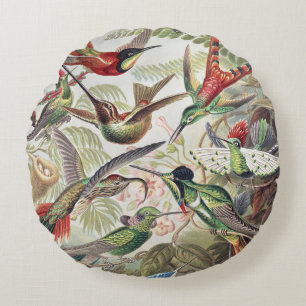 Vintage Ernst Haeckel Färgrik Kolibri Affisch Rund Kudde