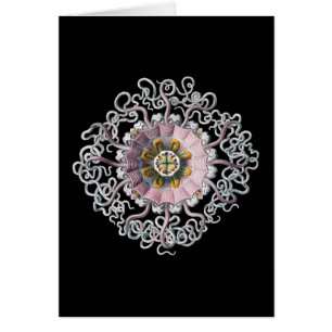Vintage Ernst Haeckel Hälsningskort